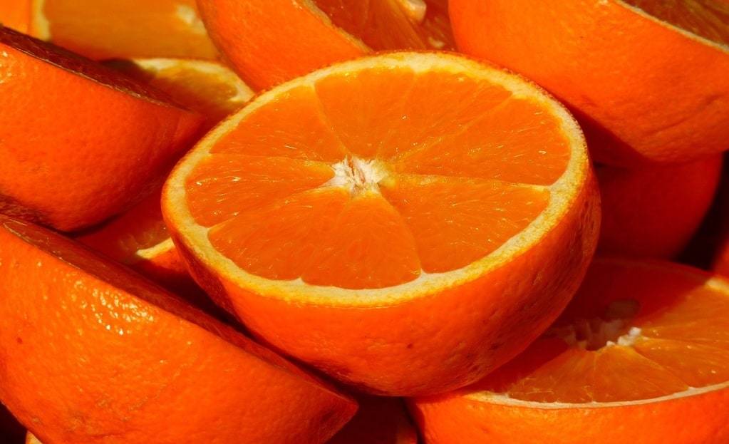 Bien choisir ses oranges pour faire un jus